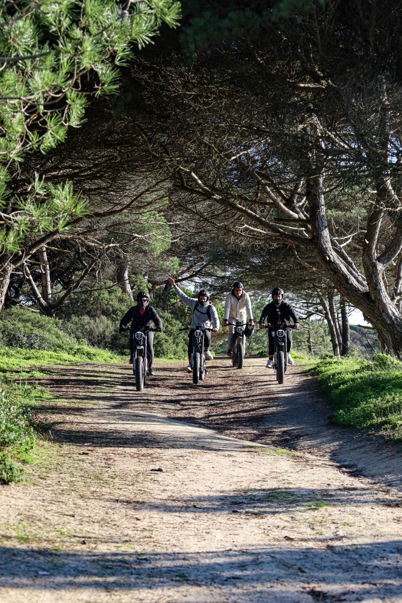 A group of four riders on eBikes on a shaded sandy trail beneath an archway of pine trees near Costa da Caparica
